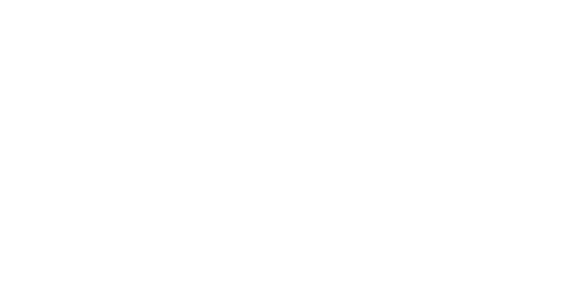 Gruppo Remark sicurezza logo